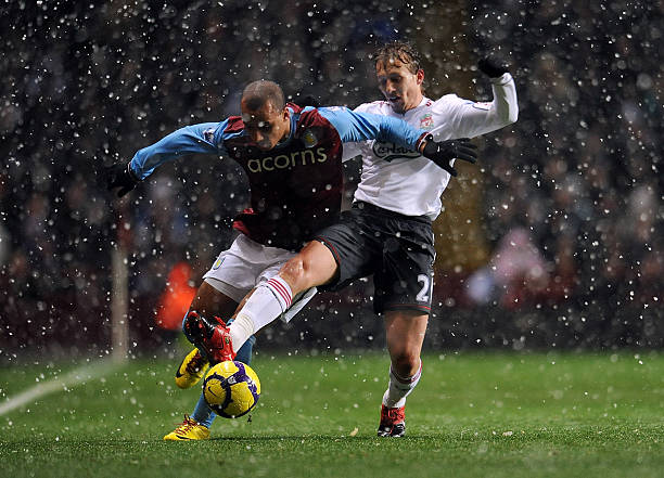 楊早已是N 楊早已是N